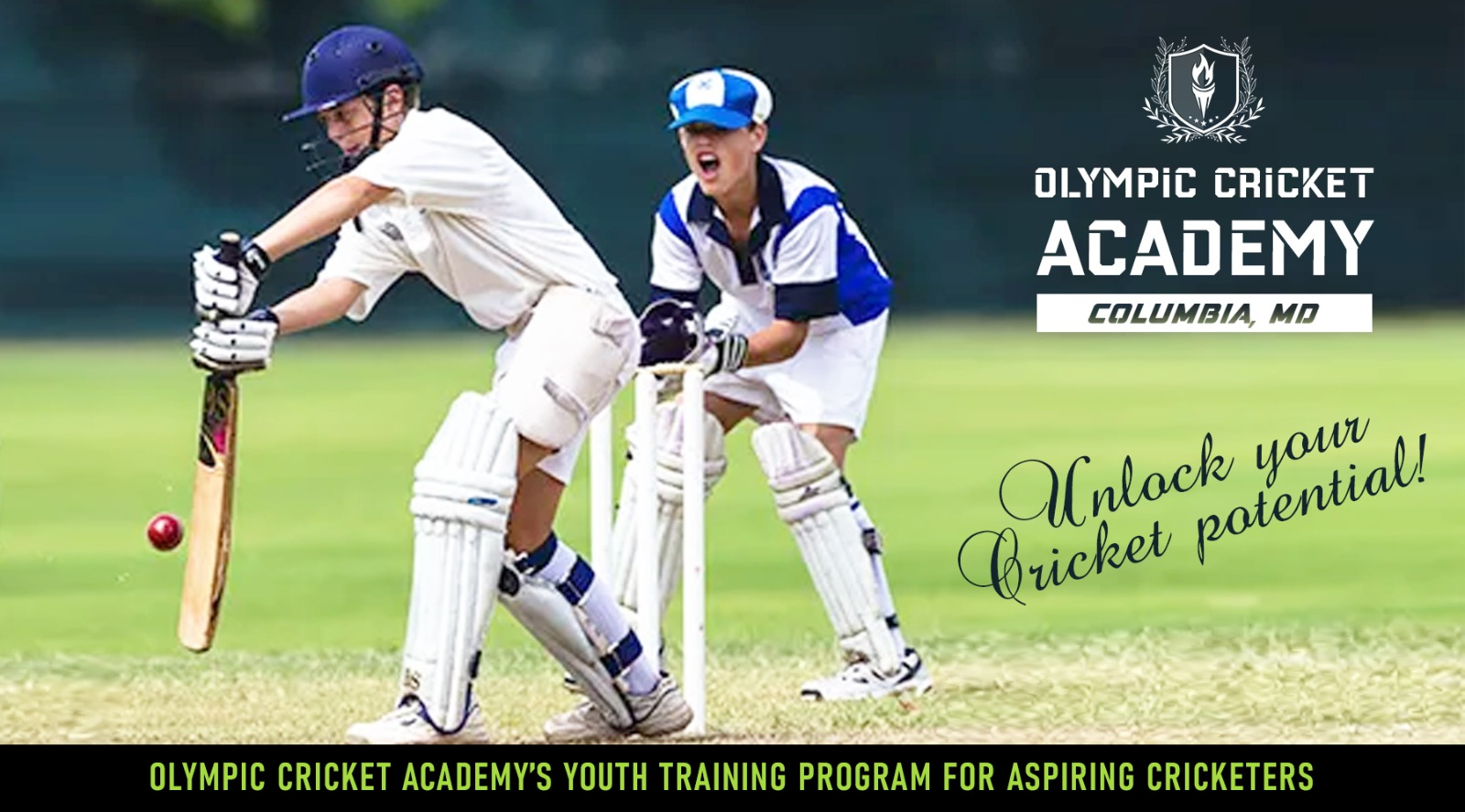 olympiaCricketAcademy